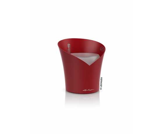 Viedais puķu pods Orchidea Scarlet red ar pašlaistošo sistēmu