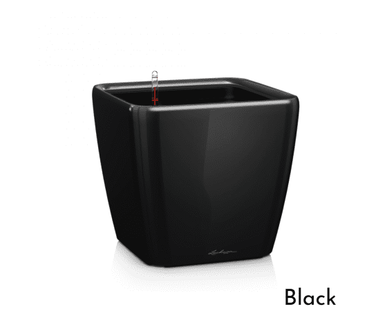 LECHUZA Quadro LS 21 Black viedais puķu pods ar pašlaistošo sistēmu