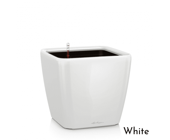 Quadro LS 21 puķu podu krāsu variācijas - white, charcoal, silver variants