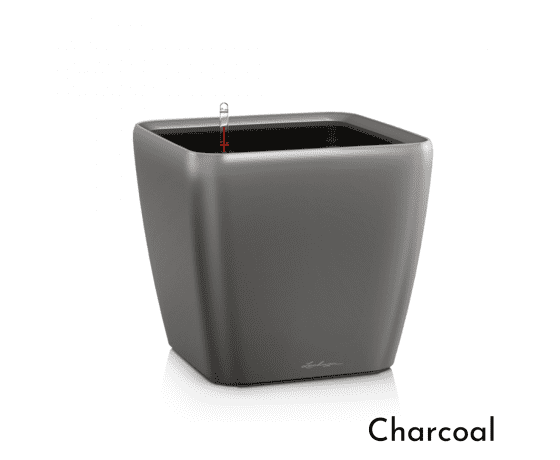 LECHUZA Quadro LS 28 Charcoal viedais puķu pods ar pašlaistošo sistēmu