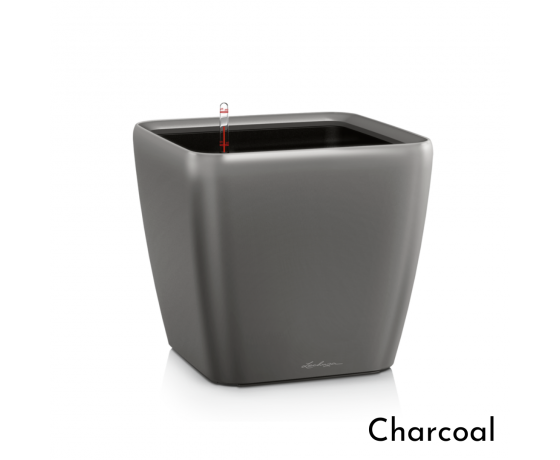 LECHUZA Quadro LS 50 viedais puķu pods Charcoal krāsā ar automātisko laistīšanas sistēmu