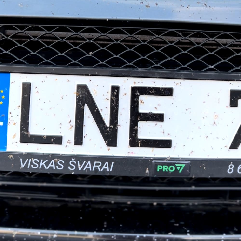 Pirms tīrīšanas