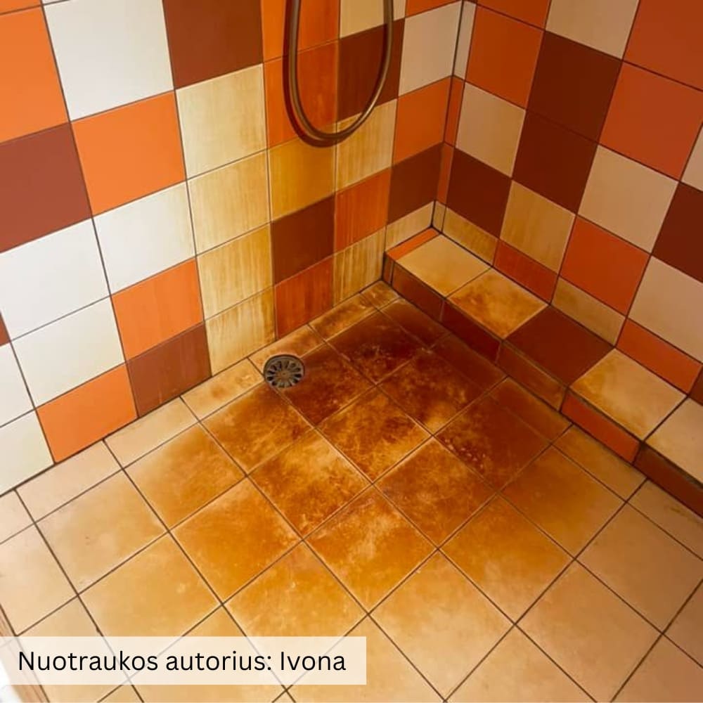 Pirms tīrīšanas