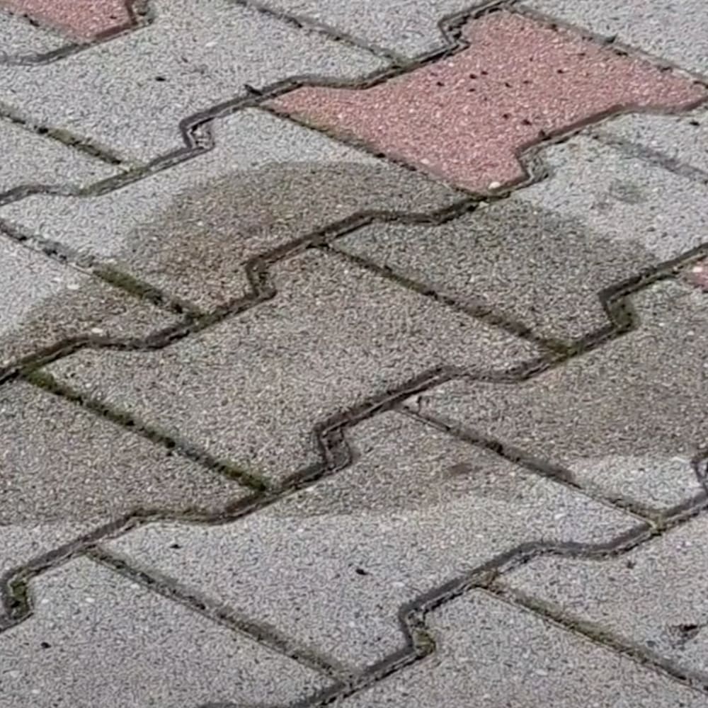 Pirms tīrīšanas