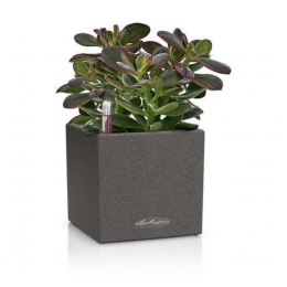 Viedais pods Canto Stone 14 Graphite Black