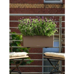 Balconera Color 50 Nutmeg krāsas dizains