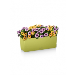 Balconera Color 50 izmēru attēlojums