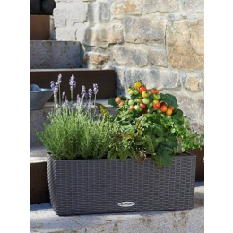 Balconera Cottage 80 pods ar dekoratīviem augiem