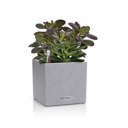 Viedais puķu pods Canto Stone 14 Stone Gray