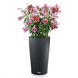 Viedais puķu pods Cilindro Color 23 Slate