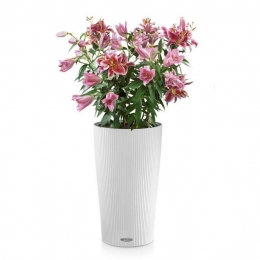Viedais puķu pods Cilindro Color 23 White