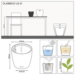 Taupe krāsas puķu pods Classico LS 21 ar augu interjerā