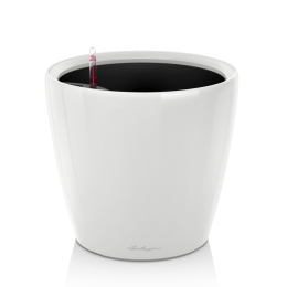 Viedais puķu pods Classico LS 43 White