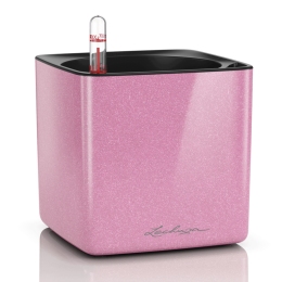 Viedais puķu pods CUBE GLOSSY KISS 14 Sweet Candy