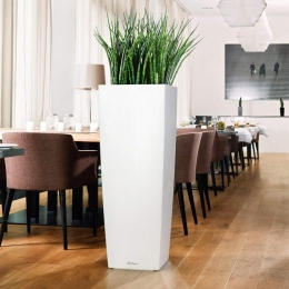 LECHUZA Cubico Alto 40 krāsu varianti un izmēri