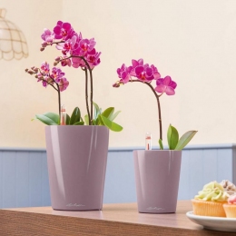 Viedā poda DELTINI Pastel Violet uzpildīšanas atvere