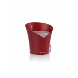 Viedais puķu pods Orchidea Scarlet red