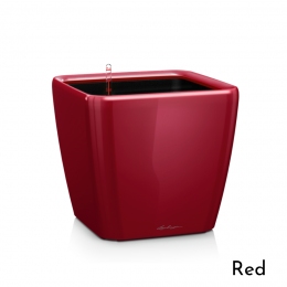 Viedais puķu pods Quadro LS 28 Red