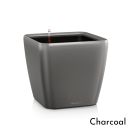 Viedais puķu pods Quadro LS 50 Charcoal 
