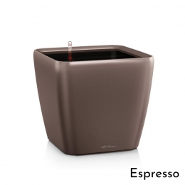 Viedais puķu pods Quadro LS 50 Espresso