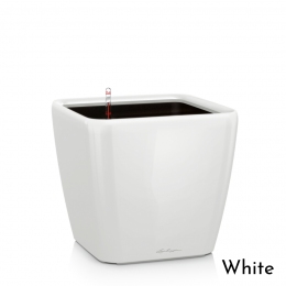 Viedais puķu pods Quadro LS 50 White