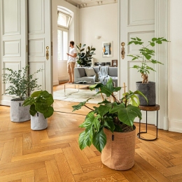 TRENDCOVER 32 puķu poda ergonomiskie rokturi un pārnēsāšanas sistēma